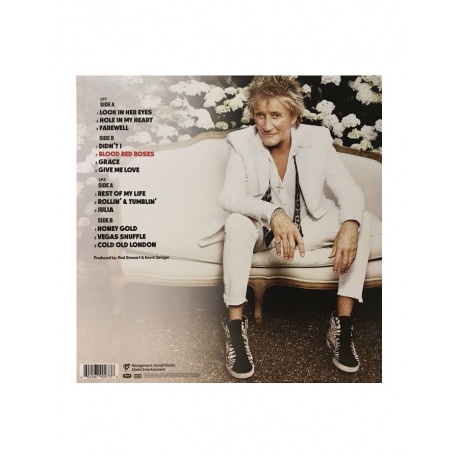 Виниловая пластинка Rod Stewart, Blood Red Roses (0602567909736) - фото 5