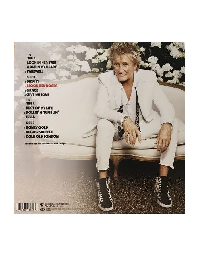 Виниловая пластинка Rod Stewart, Blood Red Roses (0602567909736) - фото 5