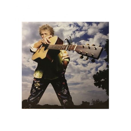 Виниловая пластинка Rod Stewart, Blood Red Roses (0602567909736) - фото 10