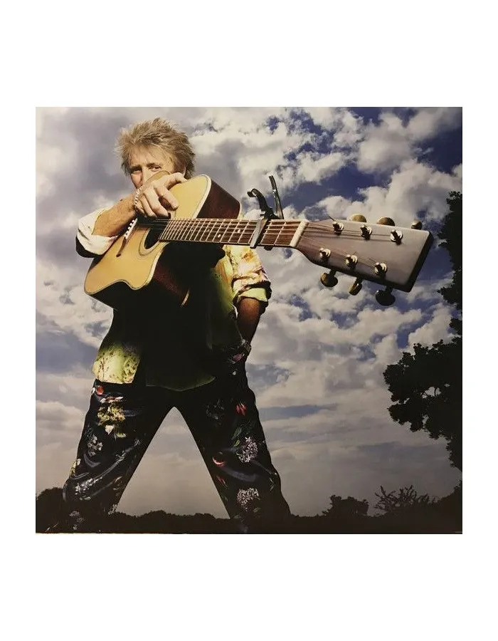 Виниловая пластинка Rod Stewart, Blood Red Roses (0602567909736) - фото 10
