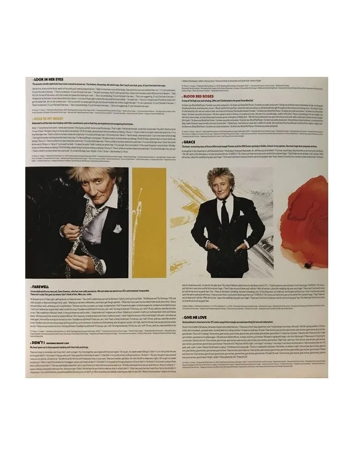 Виниловая пластинка Rod Stewart, Blood Red Roses (0602567909736) - фото 11
