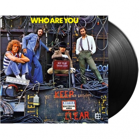 The Who - Who Are You (0602537156306) виниловая пластинка - фото 2