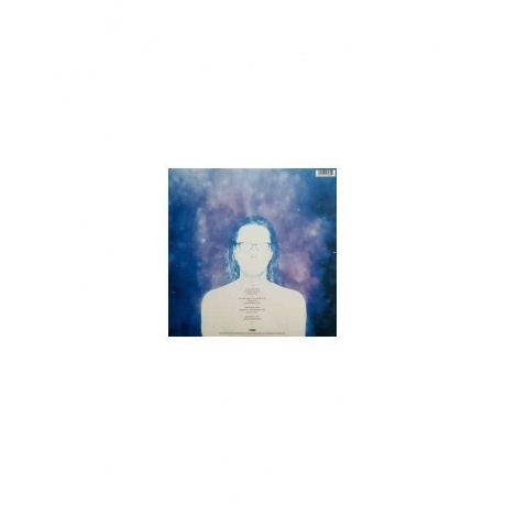 Виниловая пластинка Steven Wilson, To The Bone (0602557593037) - фото 7