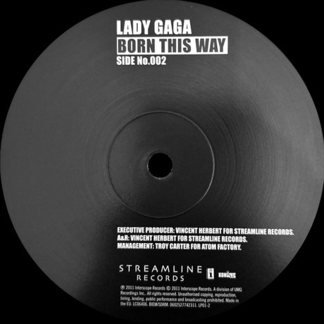 Lady GaGa - Born This Way (0602527641263) виниловая пластинка - фото 5