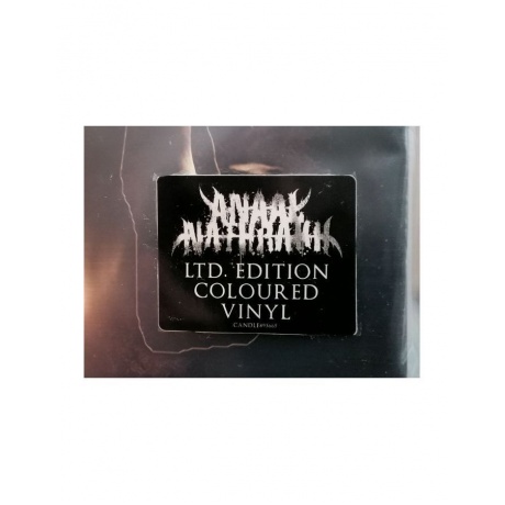 Виниловая пластинка Anaal Nathrakh, Passion (0602508936654) - фото 4