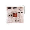 Siouxsie And The Banshees - Through The Looking Glass (0602557128642) виниловая пластинка