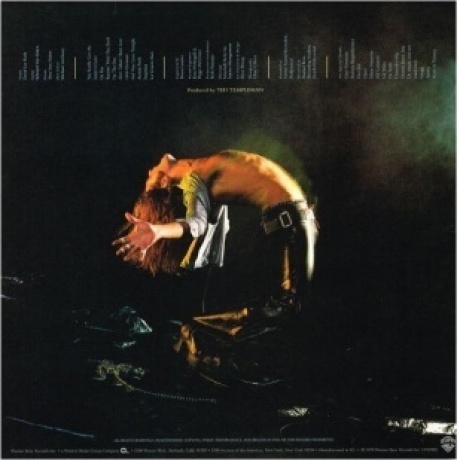 Van Halen - Van Halen (0081227955250) виниловая пластинка - фото 2
