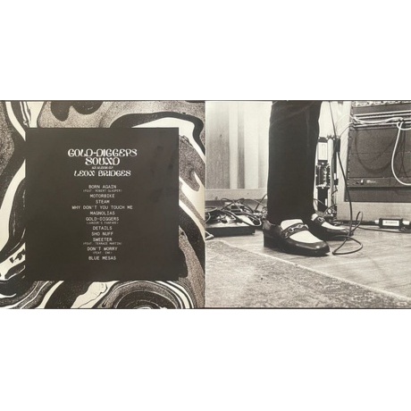 Leon Bridges - Gold-Diggers Sound (0194398869919) виниловая пластинка - фото 8