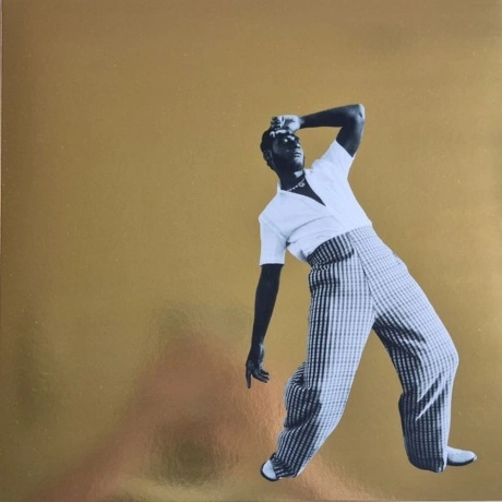 Leon Bridges - Gold-Diggers Sound (coloured) (0194399018613) вин...