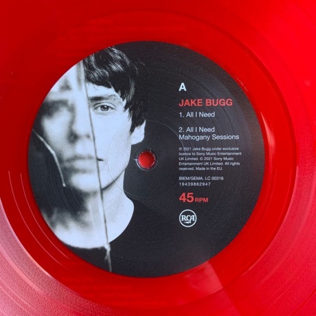 Jake Bugg - All I Need (V10) (0194398629476) виниловая пластинка - фото 5