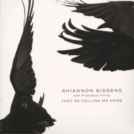 Rhiannon Giddens; Francesco Turrisi - They're Calling Me Home (0...