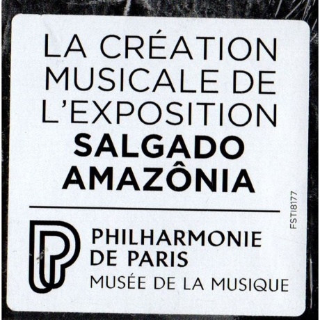 Jean Michel Jarre - Amazonia (0194398450513) виниловая пластинка - фото 11