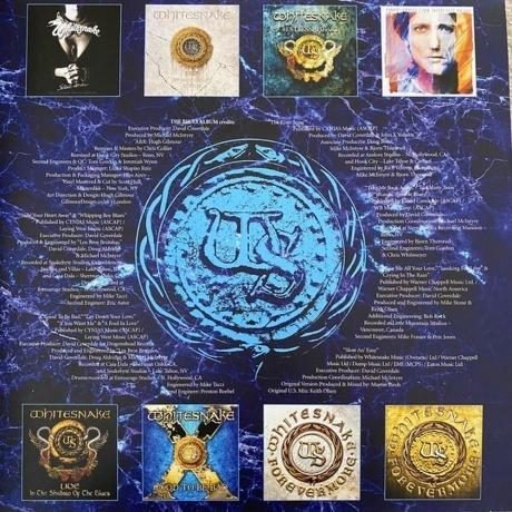 Whitesnake - The Blues Album (Ocean Blue) (0190295156152) виниловая пластинка - фото 5