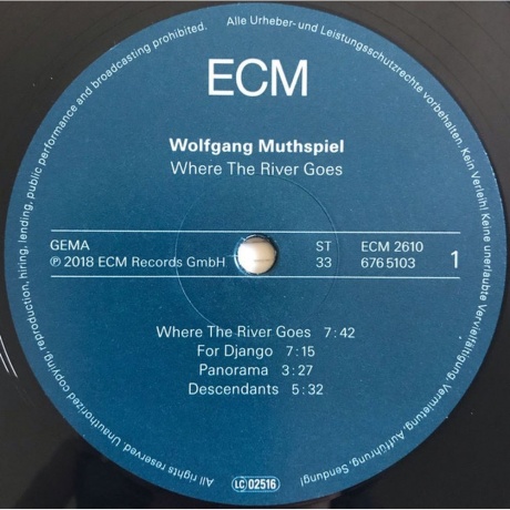 Wolfgang Muthspiel - Where The River Goes (0602567651031) виниловая пластинка - фото 3