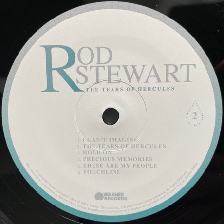 Rod Stewart - The Tears Of Hercules (0603497842537) виниловая пластинка - фото 5