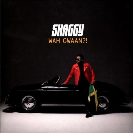 Shaggy - Wah Gwaan?! (0602577903700) виниловая пластинка - фото 1