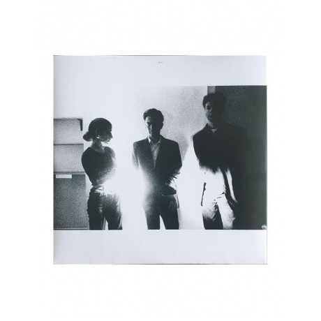 Виниловая Пластинка Pj Harvey, Rid Of Me (0602508511127) - фото 5