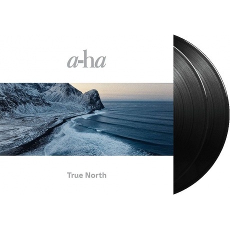 A-HA - True North (0196587083014) виниловая пластинка - фото 2