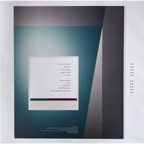Brian Eno - Foreverandevernomore (0602448013569) виниловая пластинка - фото 7