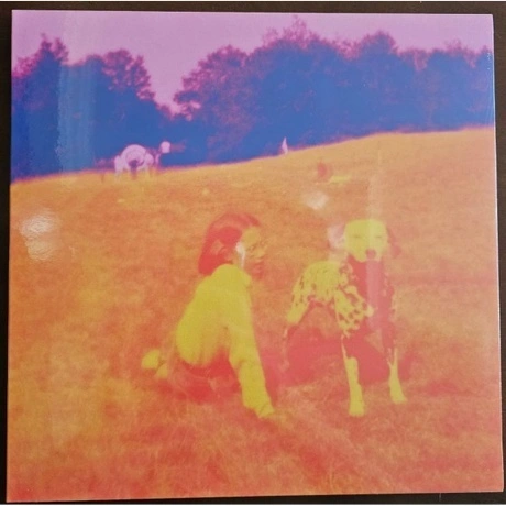 Eels - Blinking Lights And Other Revelations (coloured) (5400863...
