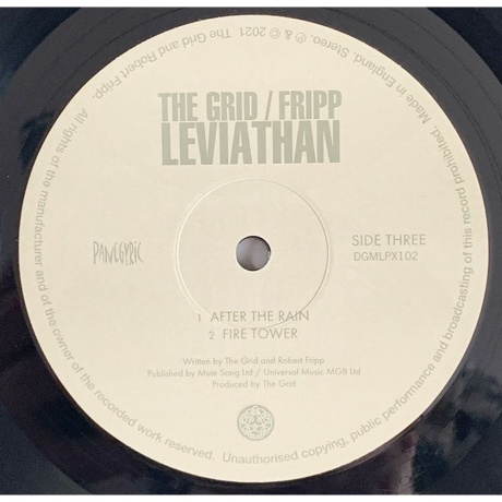 Robert Fripp &amp; The Grid - Leviathan (0633367793317) виниловая пластинка - фото 4