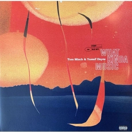 Tom Misch; Yussef Dayes - What Kinda Music (0842812123108) винил...