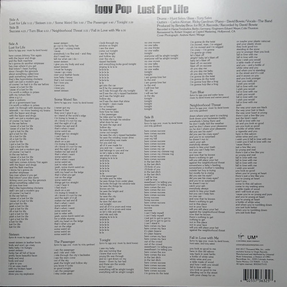 Iggy Pop - Lust For Life (0602557363258) виниловая пластинка - фото 2