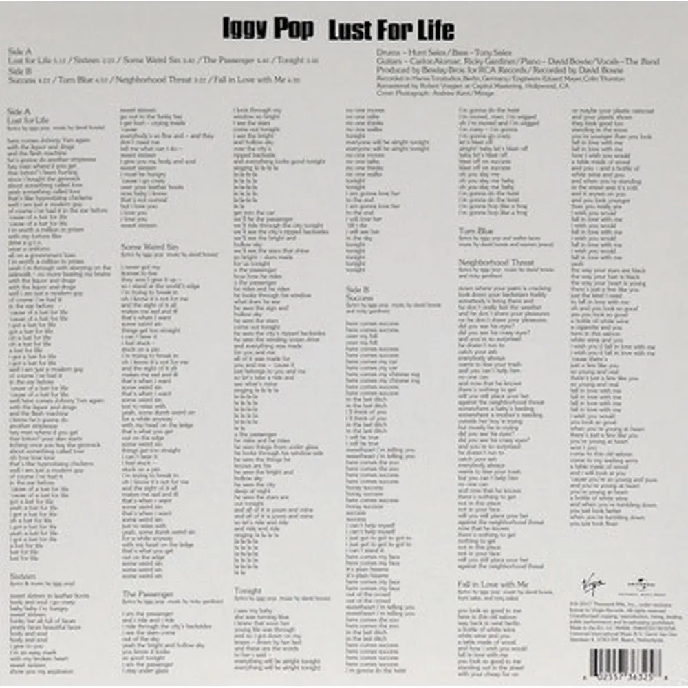 Iggy Pop - Lust For Life (0602557363258) виниловая пластинка - фото 7