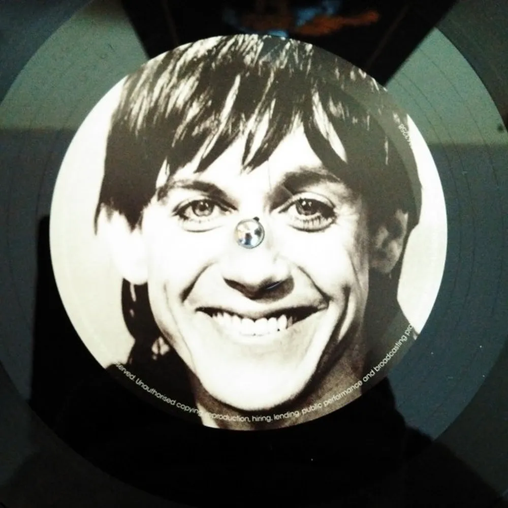 Iggy Pop - Lust For Life (0602557363258) виниловая пластинка - фото 9