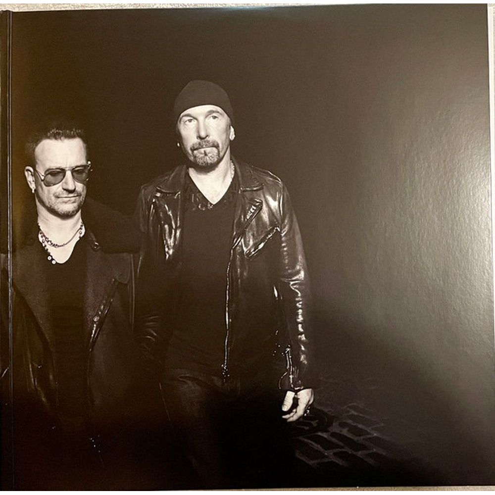 U2 - Songs Of Innocence (0602547048882) виниловая пластинка - фото 3
