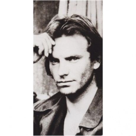 Sting - Nothing Like The Sun (0082839391214) виниловая пластинка - фото 7