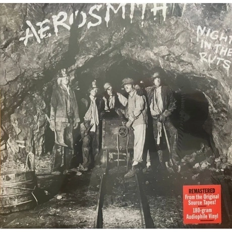 Aerosmith - Night In The Ruts (0602455248657) виниловая пластинк...