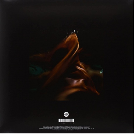 Виниловая пластинка Flying Lotus, Until The Quiet Comes (0801061023010) - фото 2