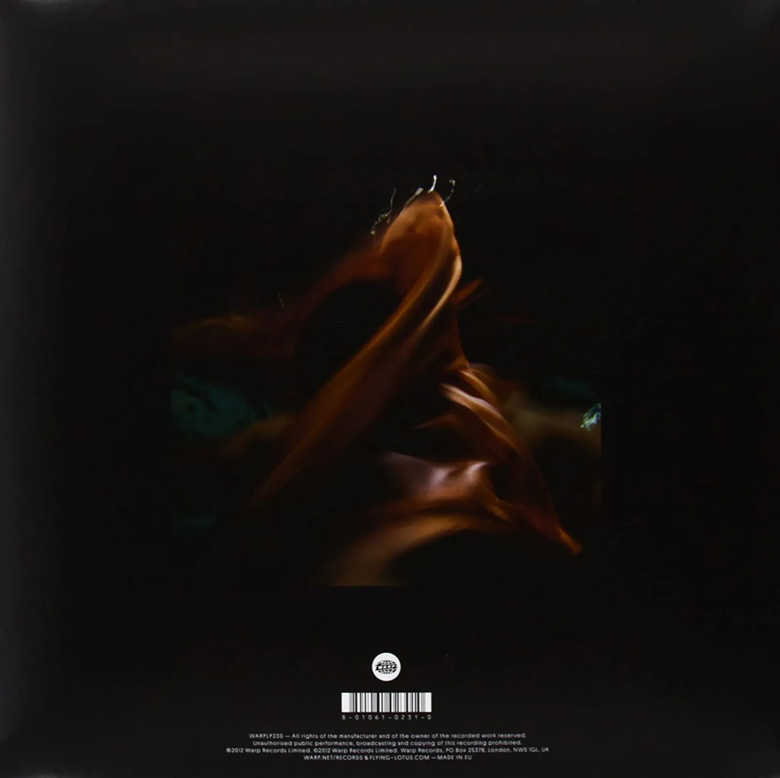 Виниловая пластинка Flying Lotus, Until The Quiet Comes (0801061023010) - фото 2