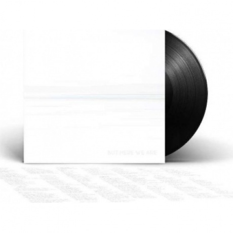 Foo Fighters - But Here We Are (0196588178412) виниловая пластинка - фото 2