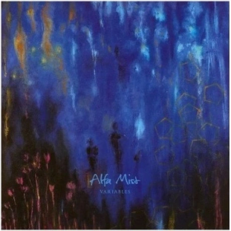 Alfa Mist - Variables (8714092795110) виниловая пластинка