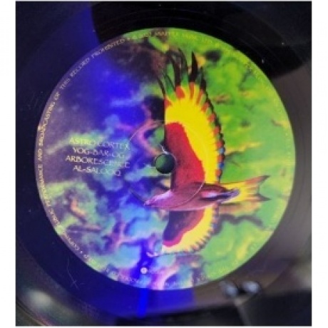Ozric Tentacles - Arborescence (0802644817118) виниловая пластинка - фото 3