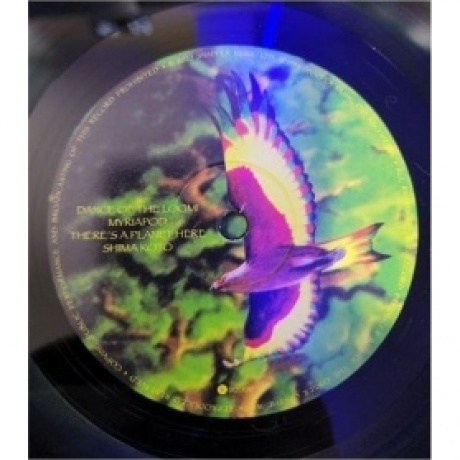 Ozric Tentacles - Arborescence (0802644817118) виниловая пластинка - фото 4