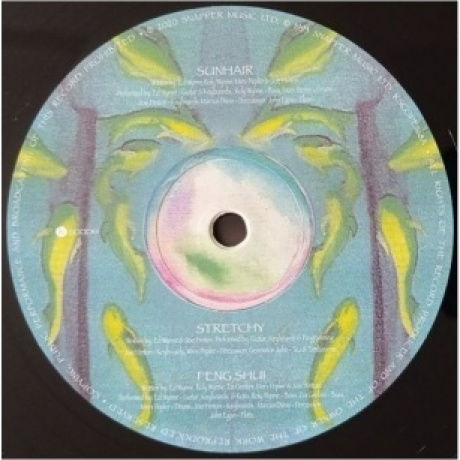 Ozric Tentacles - Jurassic Shift (0802644816814) виниловая пластинка - фото 3