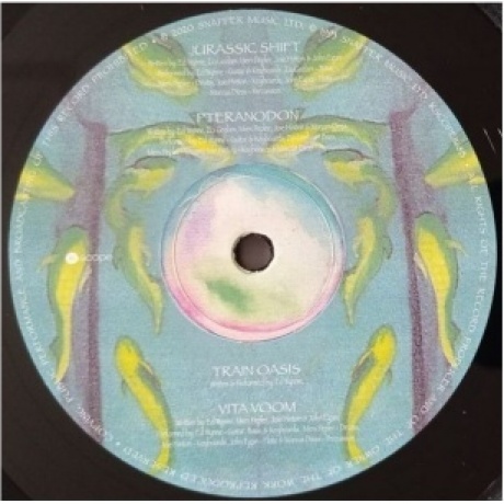 Ozric Tentacles - Jurassic Shift (0802644816814) виниловая пластинка - фото 4