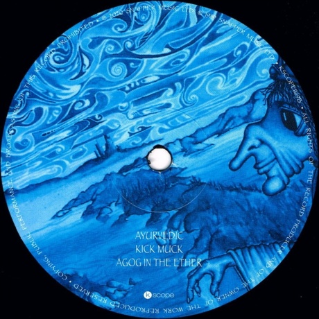Ozric Tentacles - Pungent Effulgent (0802644816913) виниловая пластинка - фото 4