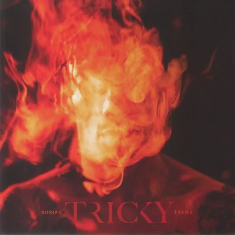 Tricky - Adrian Thaws (0730003731730) виниловая пластинка