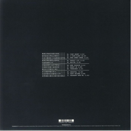 Steven Wilson - Hand. Cannot. Erase. (0802644837215) виниловая пластинка - фото 2