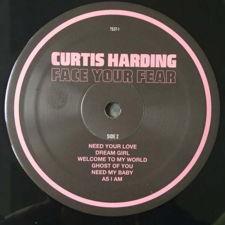 Curtis Harding - Face Your Fear (8714092753714) виниловая пластинка - фото 5