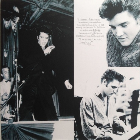 Elvis Presley - 50 Greatest Hits (0886976399016) виниловая пластинка - фото 2