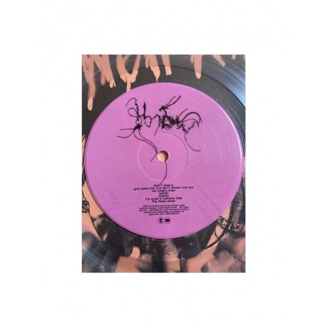 Виниловая пластинка Yungblud, Weird! (coloured) (0602507414917) - фото 8