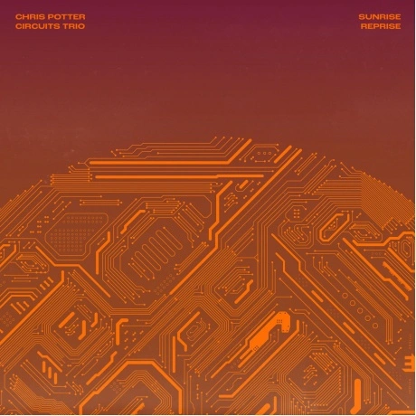 Chris Potter - Sunrise Reprise (5060509791422) виниловая пластин...