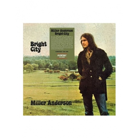 Anderson, Miller, Bright City (0781930069250) виниловая пластинк...