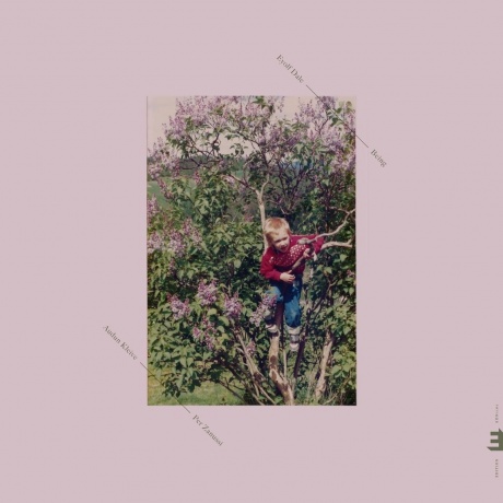 Eyolf Dale - Being (coloured) (5060509791088) виниловая пластинка - фото 1