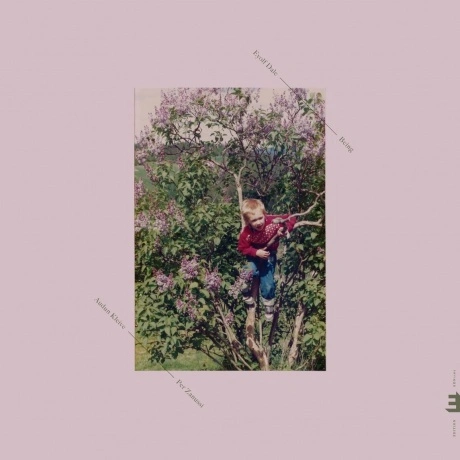 Eyolf Dale - Being (coloured) (5060509791088) виниловая пластинк...